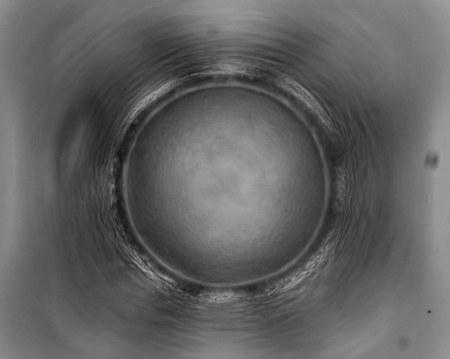 X0000100940826200807011243