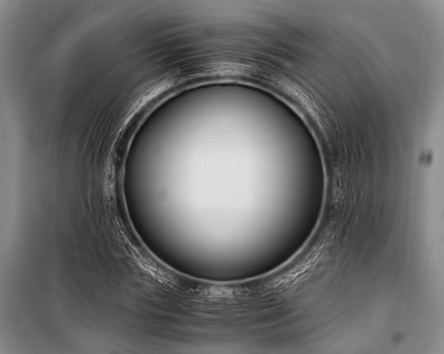 X0000100940827200807011243