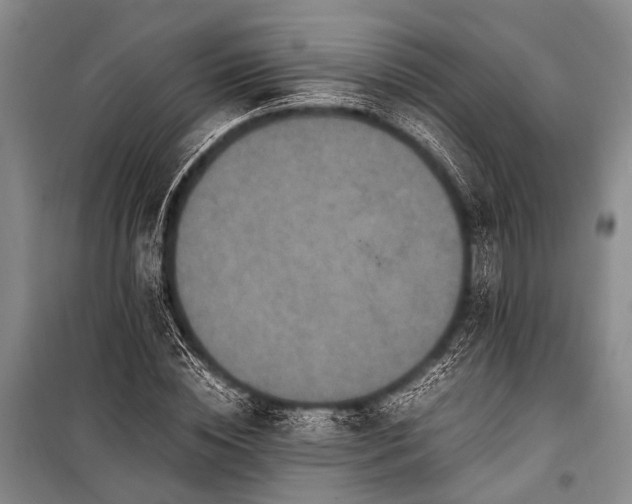 X0000100940828200807011243