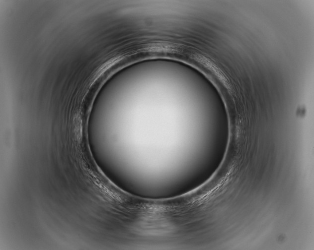 X0000100940829200807011243