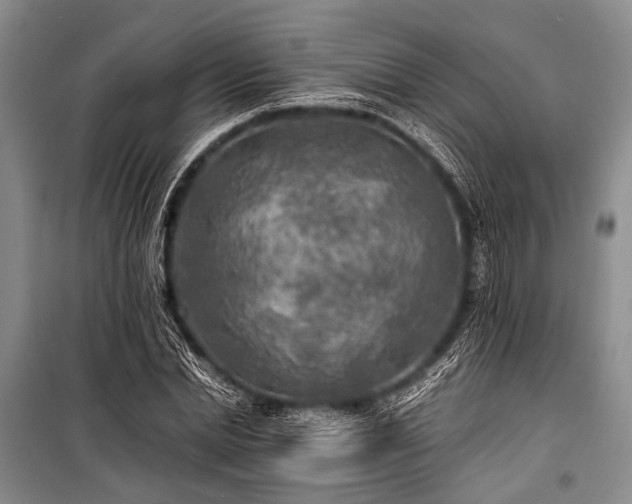 X0000100940830200807011243