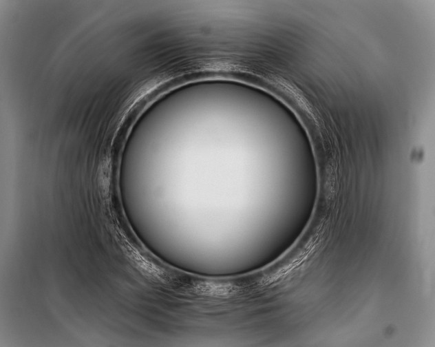 X0000100940831200807011243