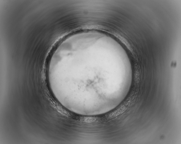 X0000100940832200807011243