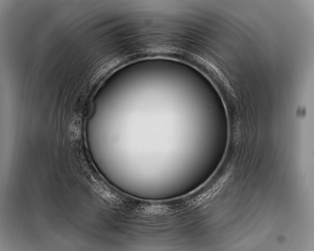 X0000100940833200807011243