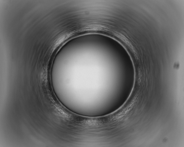 X0000100940834200807011243