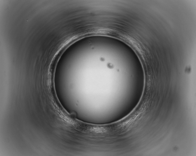 X0000100940835200807011243