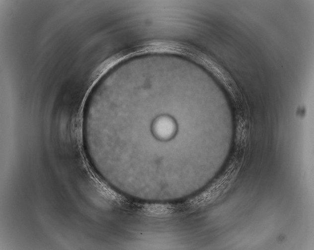 X0000100940836200807011243