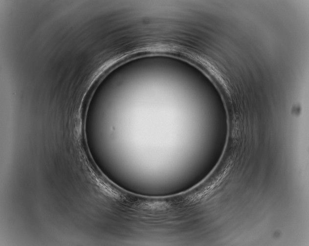 X0000100940837200807011243