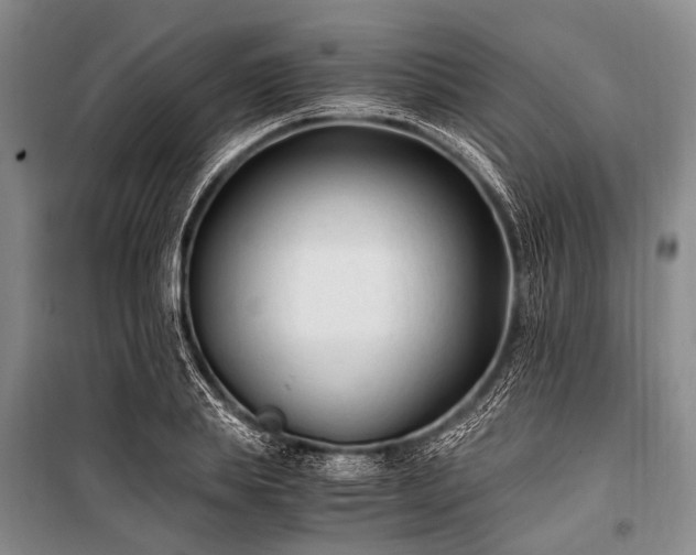 X0000100940839200807011243