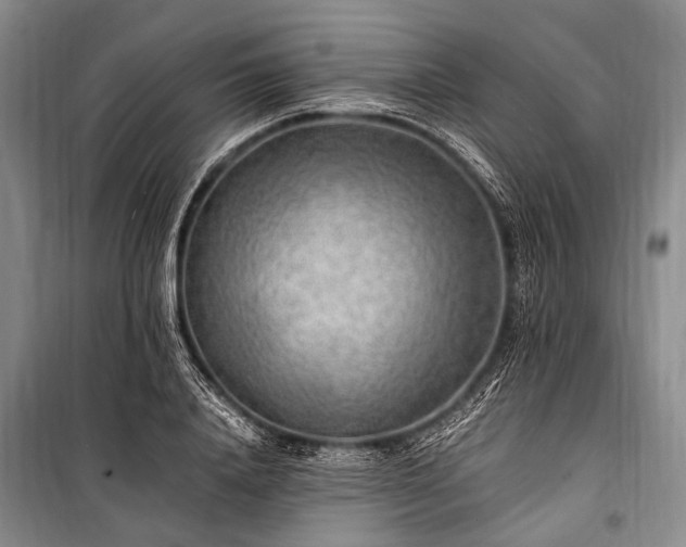 X0000100940840200807011243