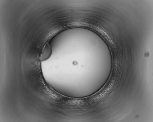 X0000100940841200807011243