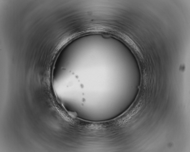 X0000100940842200807011243