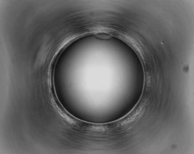 X0000100940843200807011243