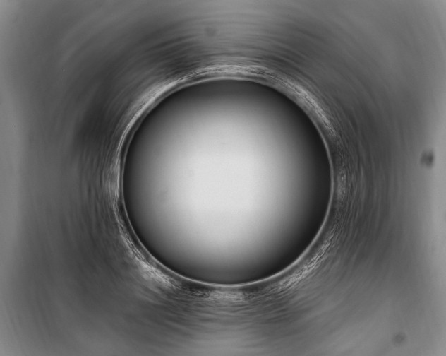 X0000100940844200807011243