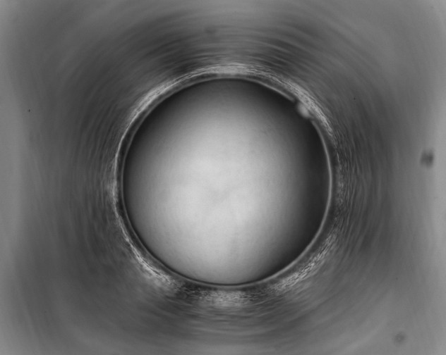 X0000100940845200807011243