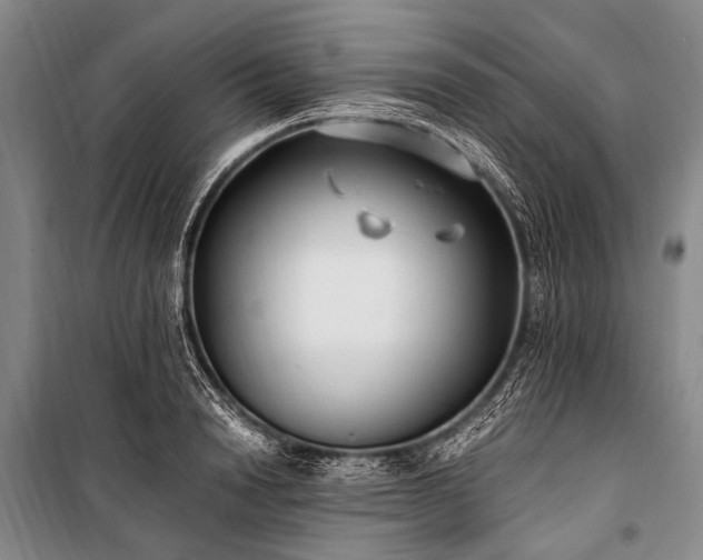 X0000100940846200807011243