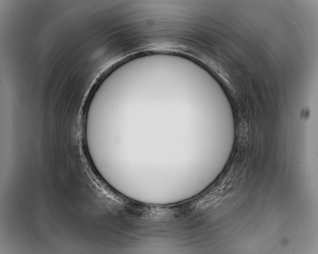 X0000100940848200807011243