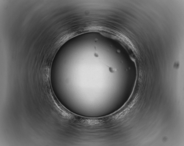 X0000100940849200807011243