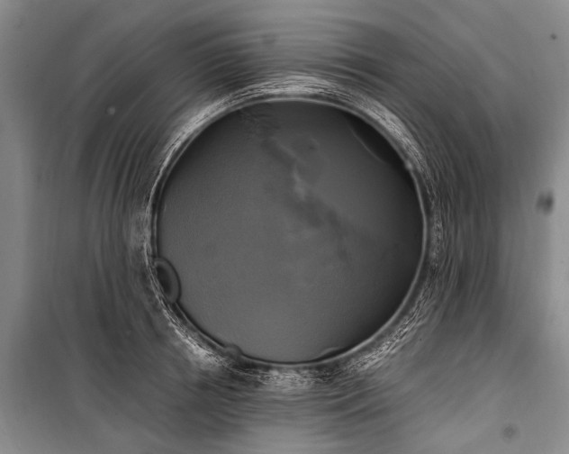 X0000100940850200807011243