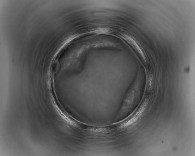 X0000100940851200807011243