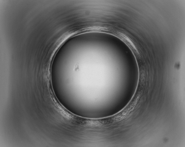 X0000100940852200807011243