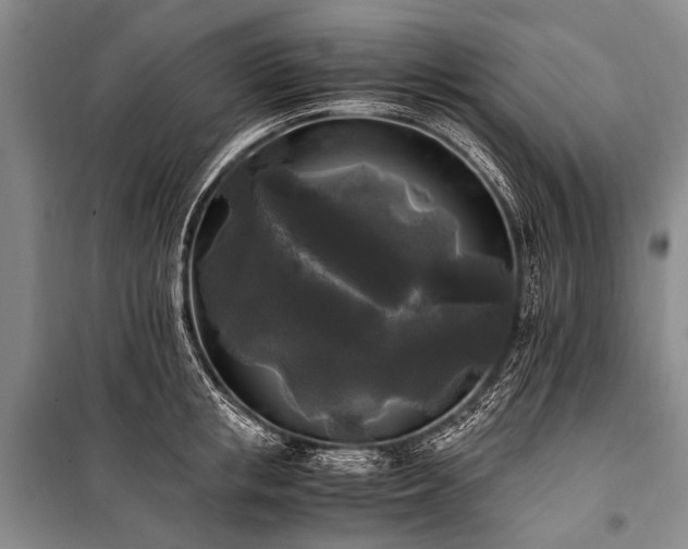 X0000100940853200807011243