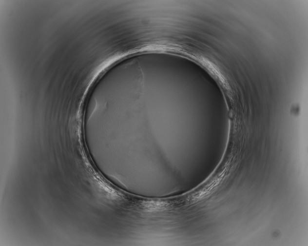 X0000100940854200807011243