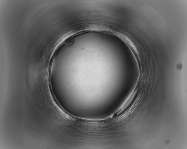 X0000100940855200807011243