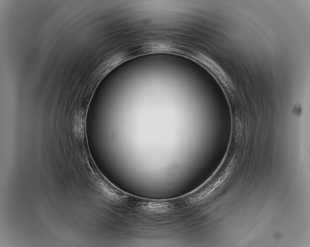 X0000100940857200807011243