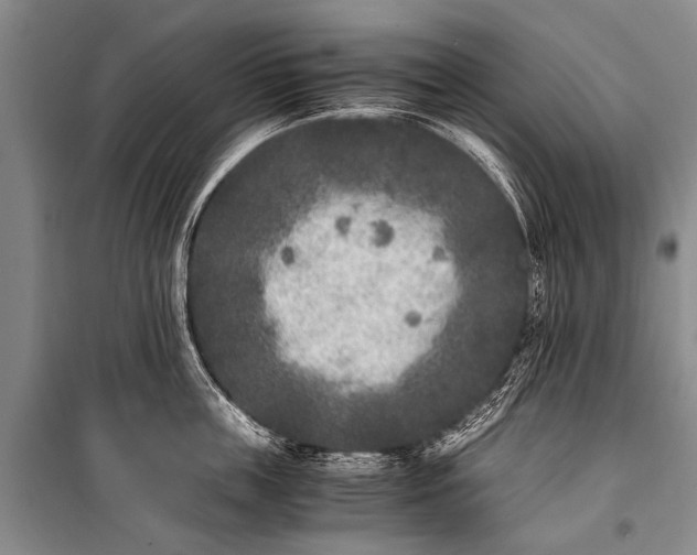 X0000100940859200807011243