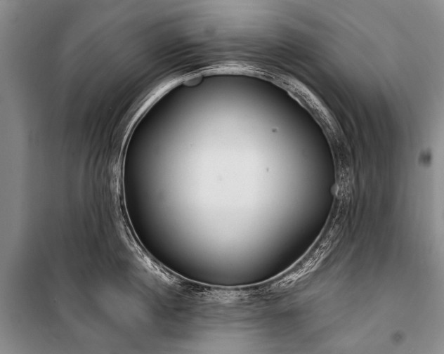 X0000100940860200807011243