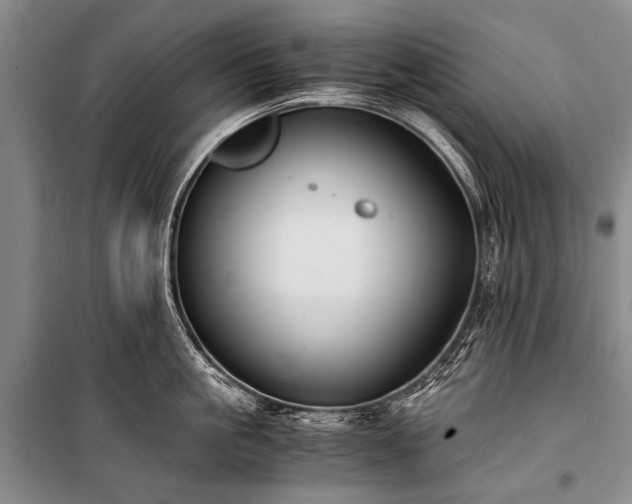 X0000100940861200807011243