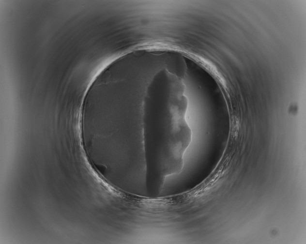 X0000100940863200807011243