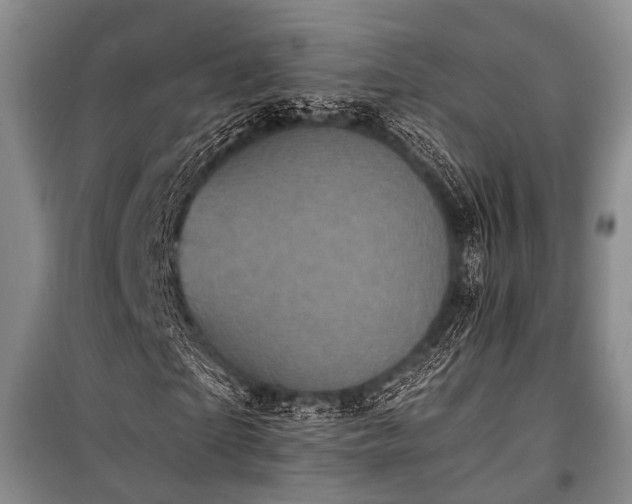 X0000100940865200807011242