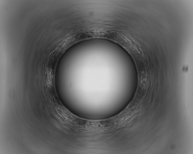 X0000100940866200807011242