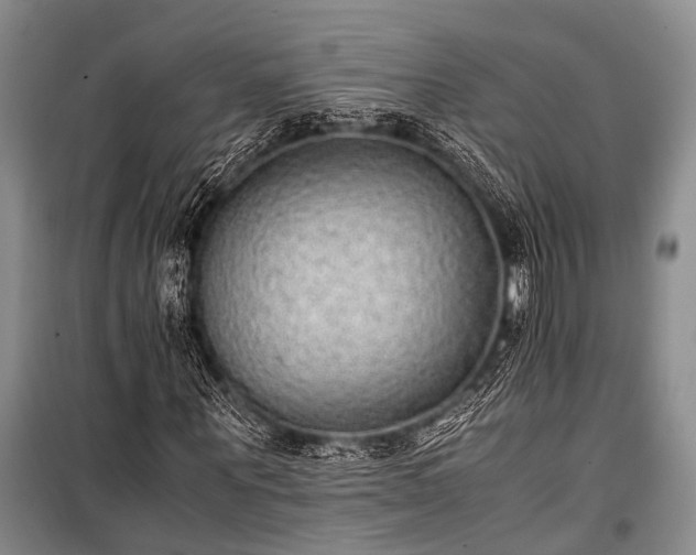 X0000100940867200807011242