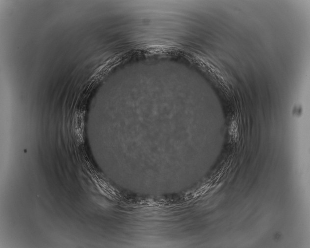 X0000100940868200807011242