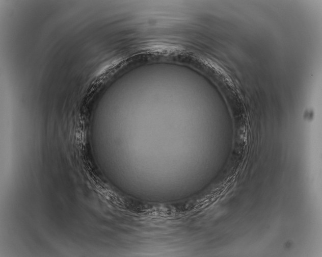 X0000100940869200807011242