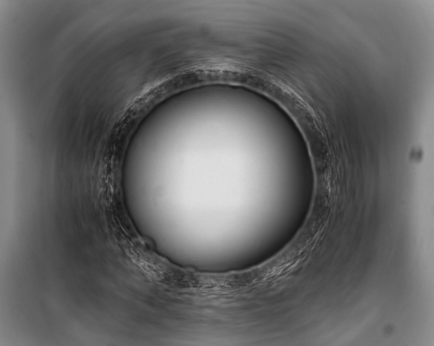 X0000100940870200807011242