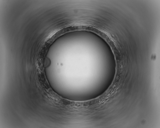 X0000100940871200807011242