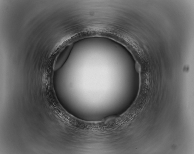 X0000100940872200807011242