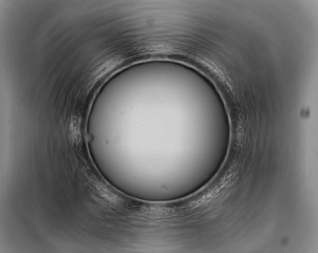 X0000100940873200807011242