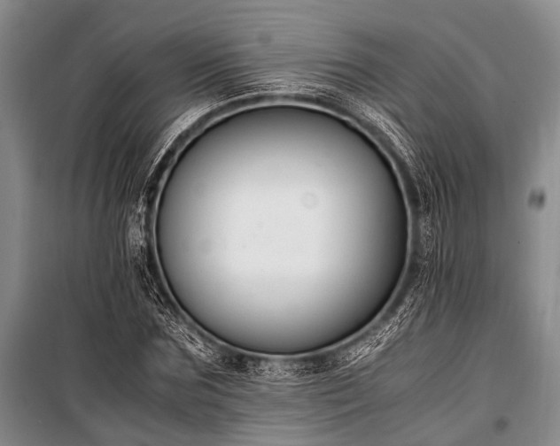 X0000100940875200807011242