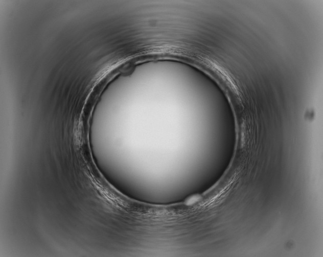 X0000100940876200807011242