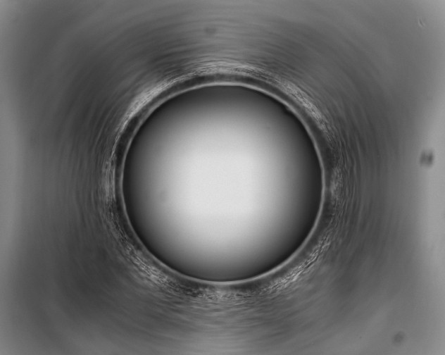 X0000100940877200807011242