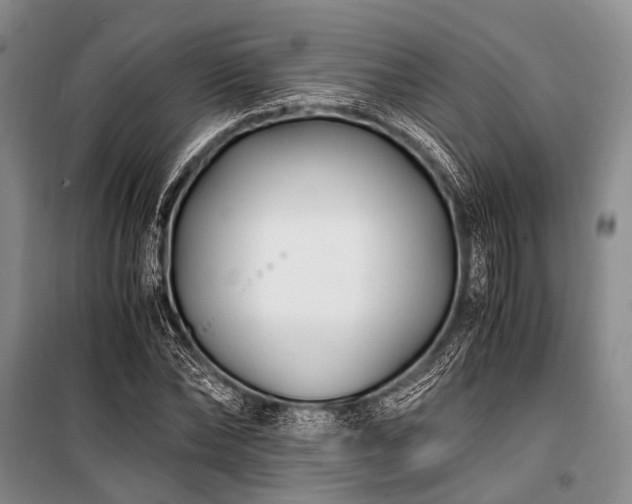 X0000100940878200807011242