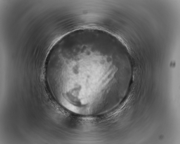 X0000100940879200807011242