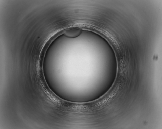 X0000100940880200807011242