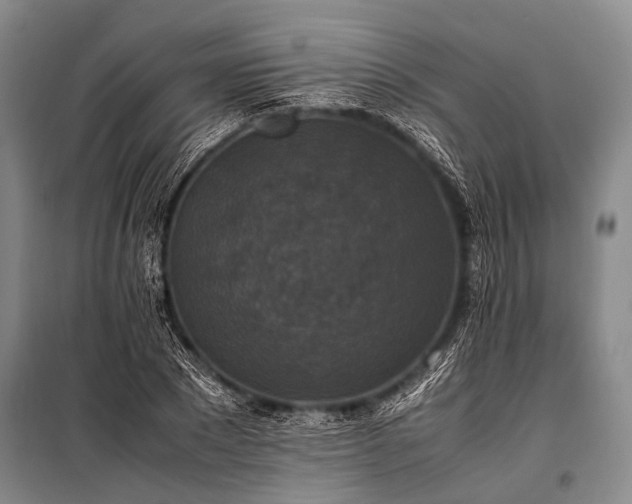 X0000100940881200807011242