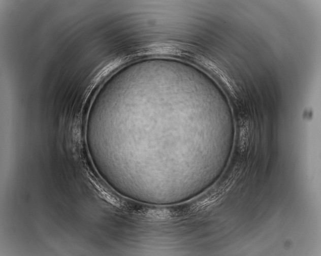 X0000100940882200807011242